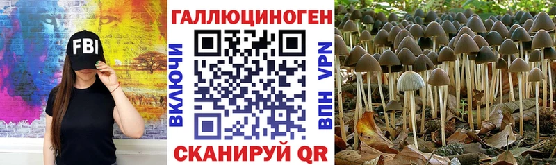 Галлюциногенные грибы прущие грибы  blacksprut ONION  Сысерть 